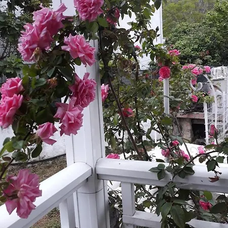 Appartamento Vasilis