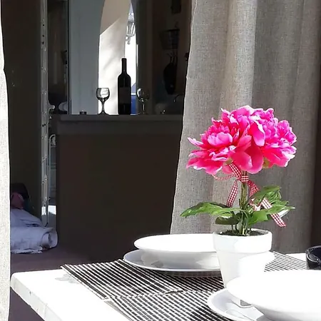 Vasilis إيبسوس